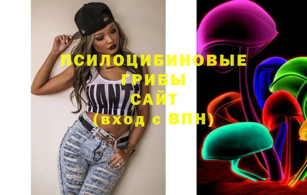 apvp Переславль-Залесский