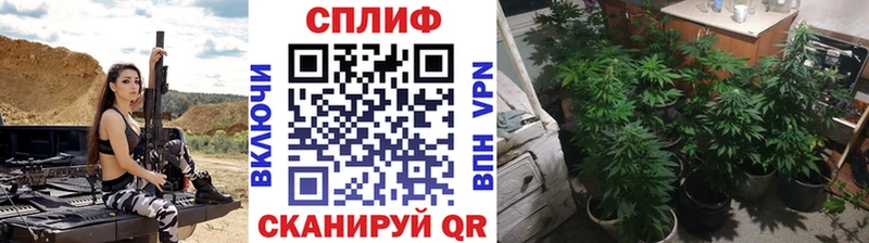 площадка телеграм  Приморско-Ахтарск  МАРИХУАНА ГИДРОПОН  мега ТОР 